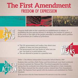 BILL OF RIGHTS IN ACTION MINI-POSTER SET